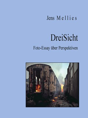 cover image of DreiSicht
